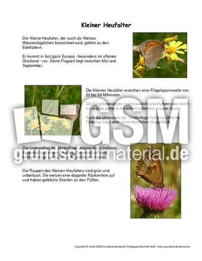 Kleiner-Heufalter-Steckbrief.pdf